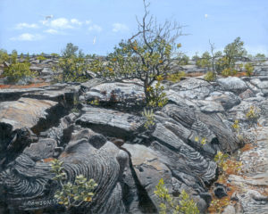 Ohia from Lava