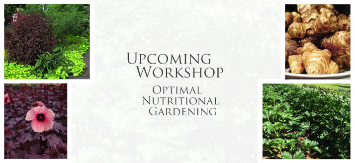 Workshop-Optimal-Nutritional-Gardening