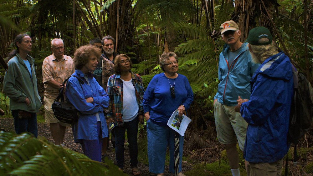 Guided Niaulani Nature Walk @ Volcano Art Center Niaulani Campus | Volcano | Hawaii | United States