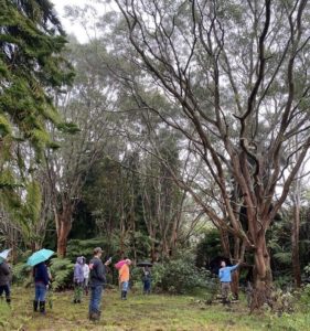 Jordan Leading a Tour at Shaka Forest Farms