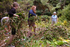 Niaulani Forest Work Day