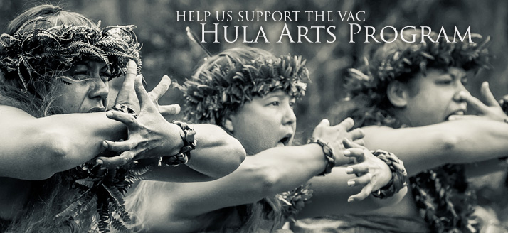 Keep the Hula Program Alive! | GoFundMe | Volcano Arts Center