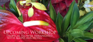 Workshop-Tropical-Flower-Arranging