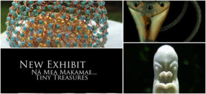 Nā Mea Makamae Tiny Treasures