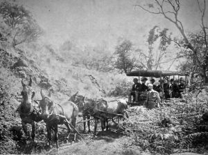 Carriage Road from Punaluu - Hawaiian Historical Society