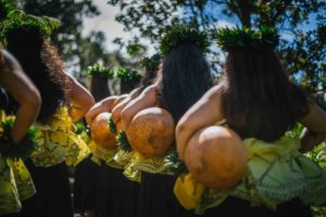 VAC Hula Arts 2018 HiRes Dino Morrow Photography-89 copy