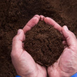 Online Zoom Workshop: Secrets of the Soil: DIY Strategies for Soil Regeneration with Zach Mermel