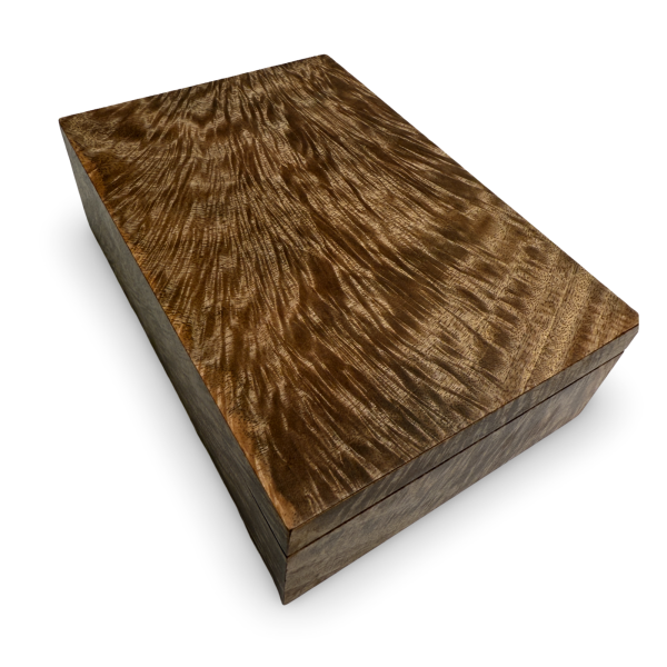 Extremely Curly Mango Box by Richard Cunningham - Image 2