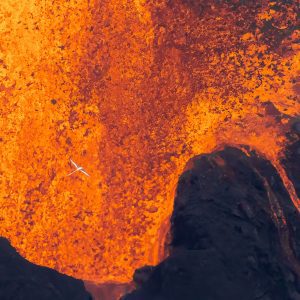 Koa'e Kea 1, Photograph by Jill Briggs