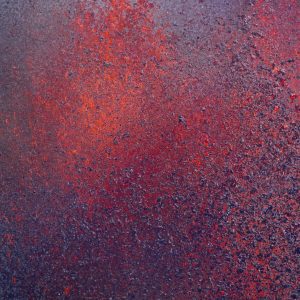 Episode 28.4, Photograph by Jill Briggs