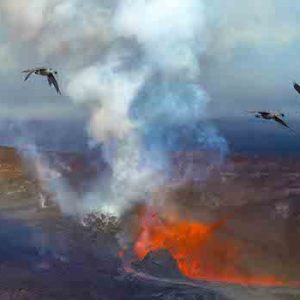 Fire & Flight, Photograph by Cody Yamaguchi