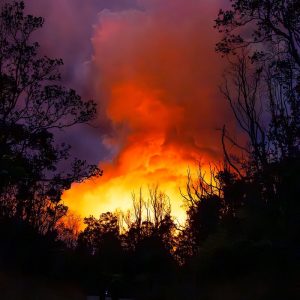 Journey to the Flame, Photograph by Bruce Omori
