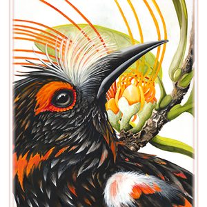 ʻĀkohekohe, UC Print by Marian Berger