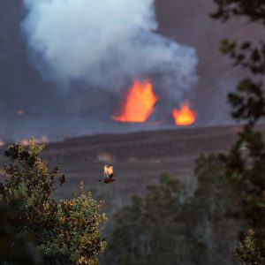 ʻApapane at Kaluapele, Photograph by Ryan Ikeuchi