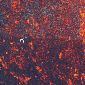 Koaʻe Kea and the Lavafall, Photograph by Ryan Ikeuchi