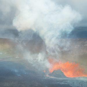 Nēnē, Rainbow, and the Lava Fountain, Photograph by Ryan Ikeuchi