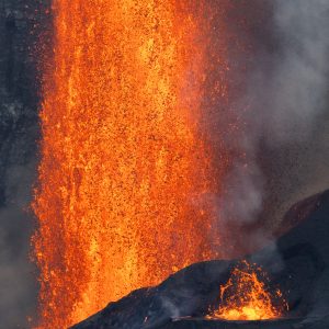 Release, Photograph by Ryan Ikeuchi