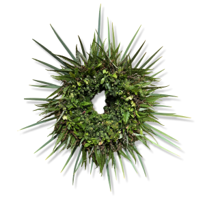 Festive Lāʻau Lapaʻau, Live Wreath by Heather Penfield