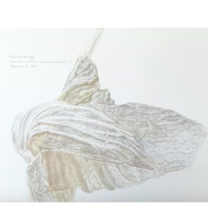 Hibiscus Amottianus Immaculatus  by Paula de la Cruz