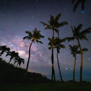 Coco Milk, Photograph by Travis Morrin