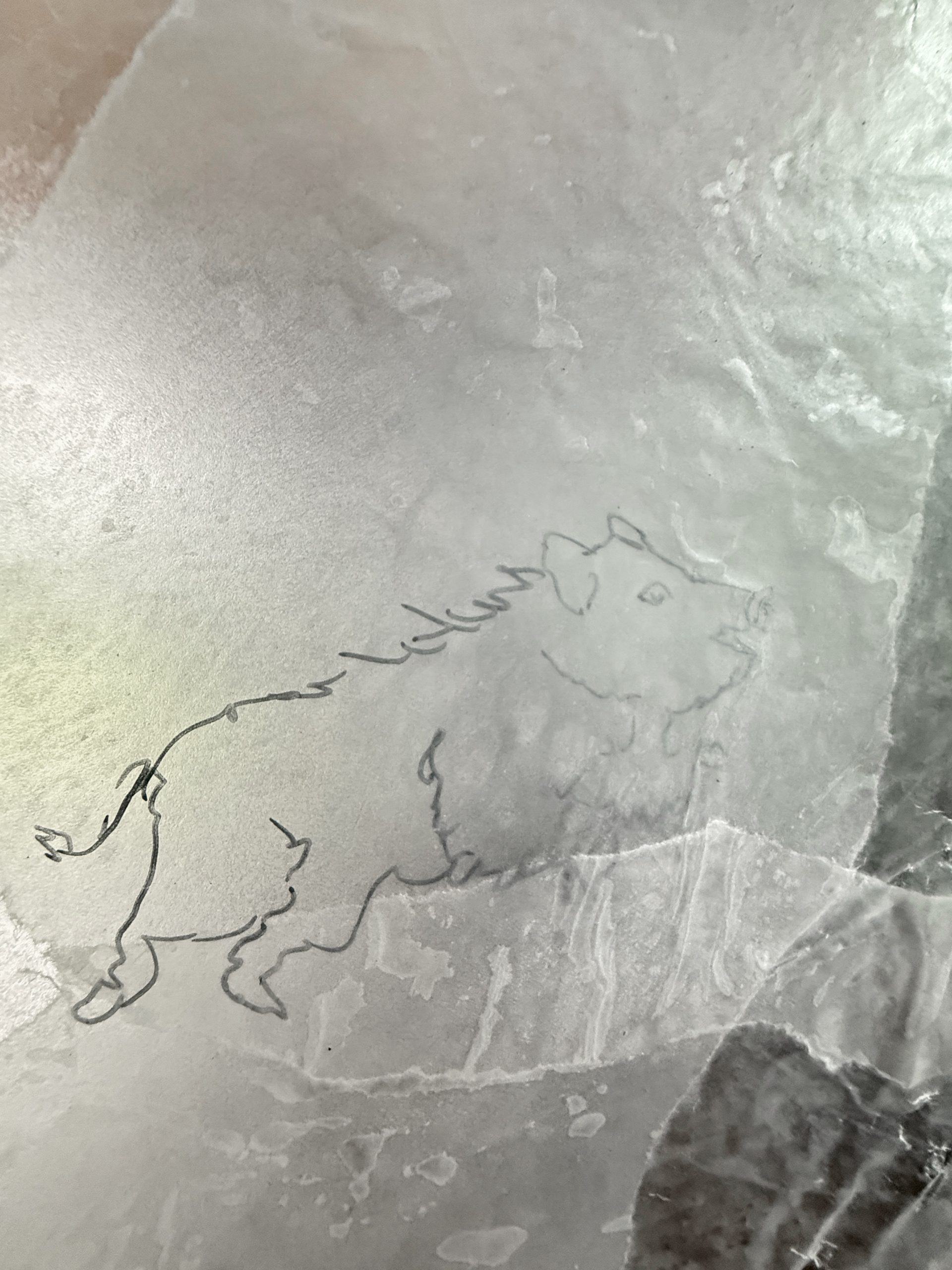 Hogs by Mary Babcock - Image 2