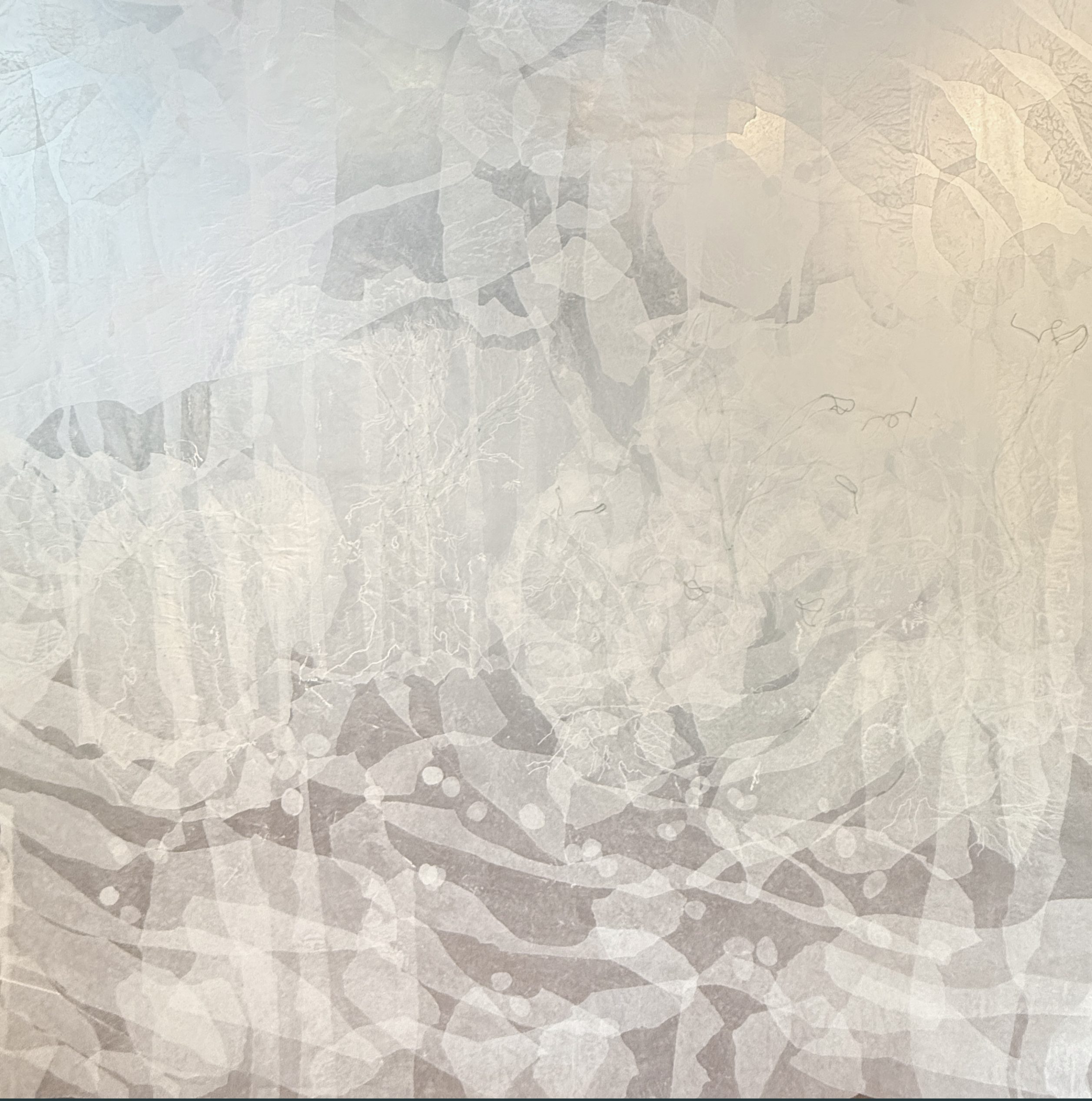 Hogs by Mary Babcock