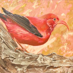 'I'iwi by Reyn Ojiri