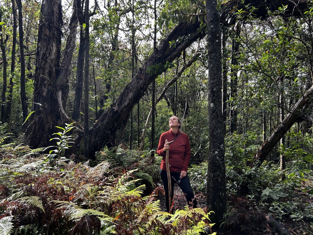Mary Babcock amongst Ohia