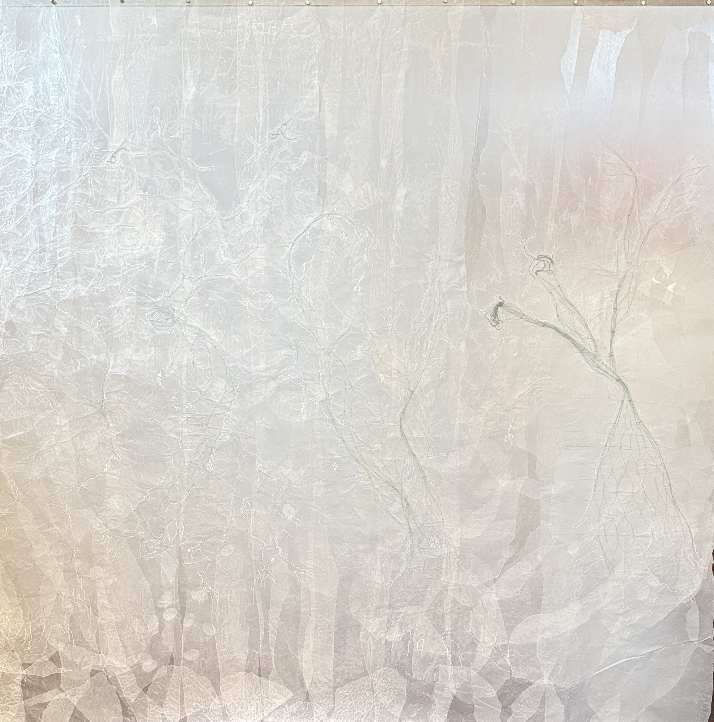 Dozers by Mary Babcock