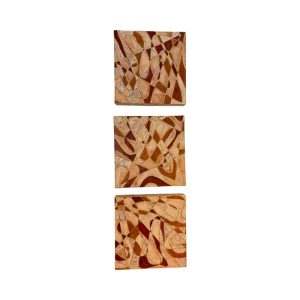Earth Signs, Triptych by Christina Skaggs