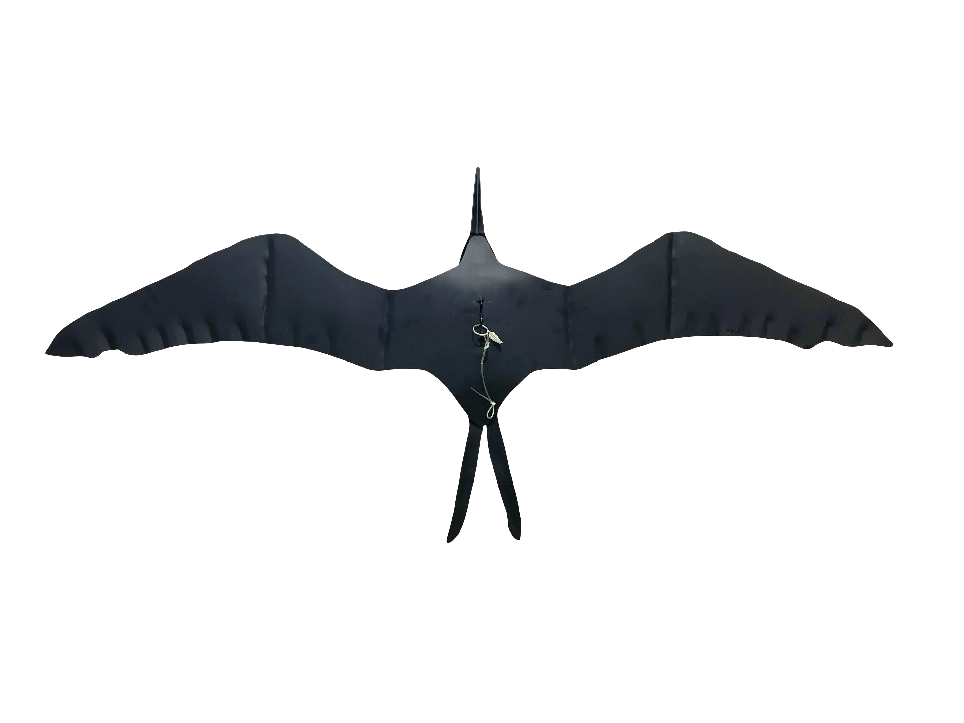 Frigatebird II, Sculpture by Ernest and Lois Rich - Image 4