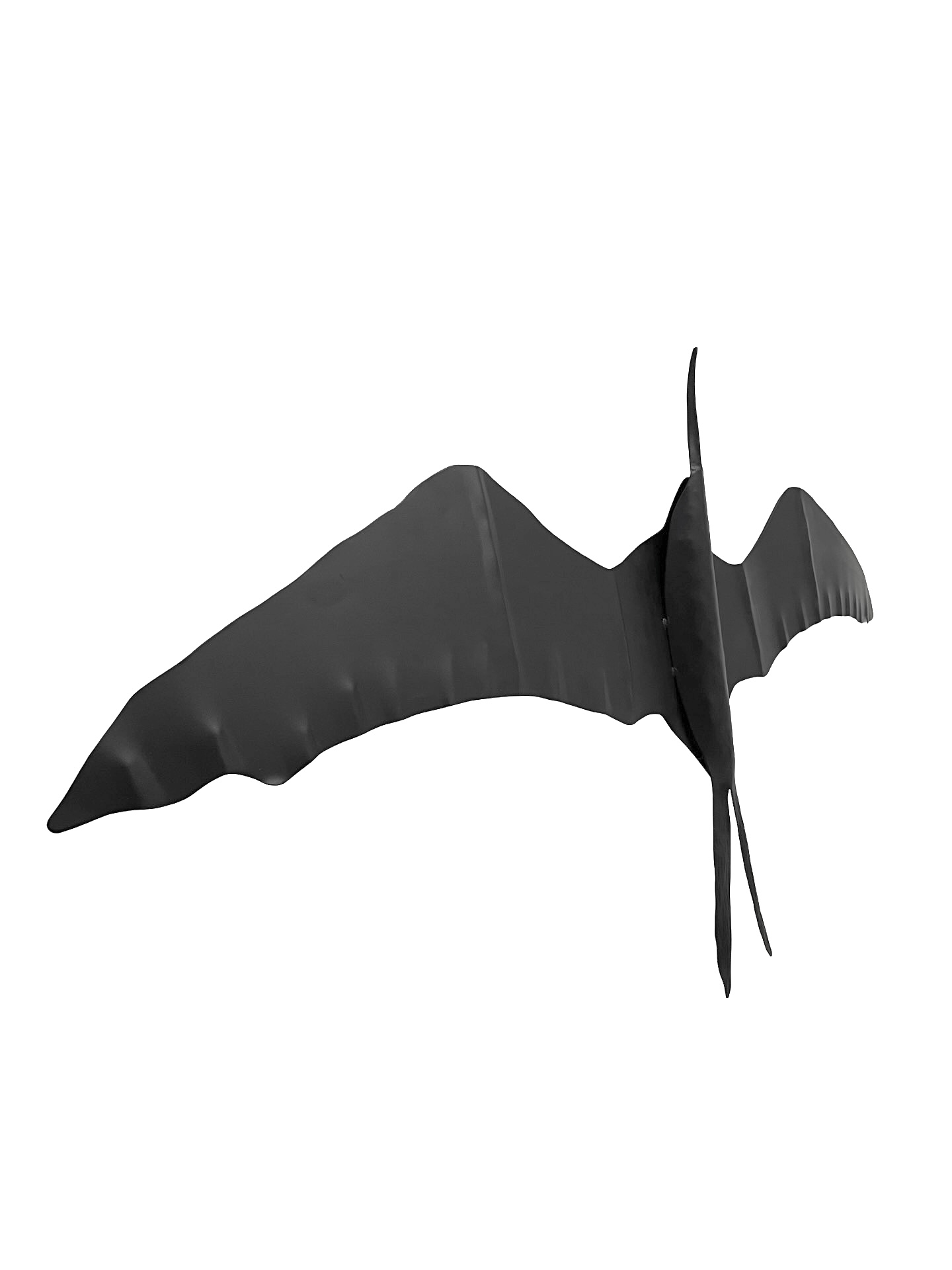 Frigatebird II, Sculpture by Ernest and Lois Rich - Image 2