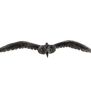Pueo Midnight Hunt, Sculpture