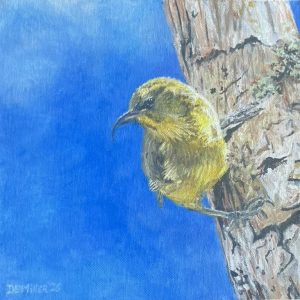 ʻAkiapōlāʻau, Painting by Diana Miller