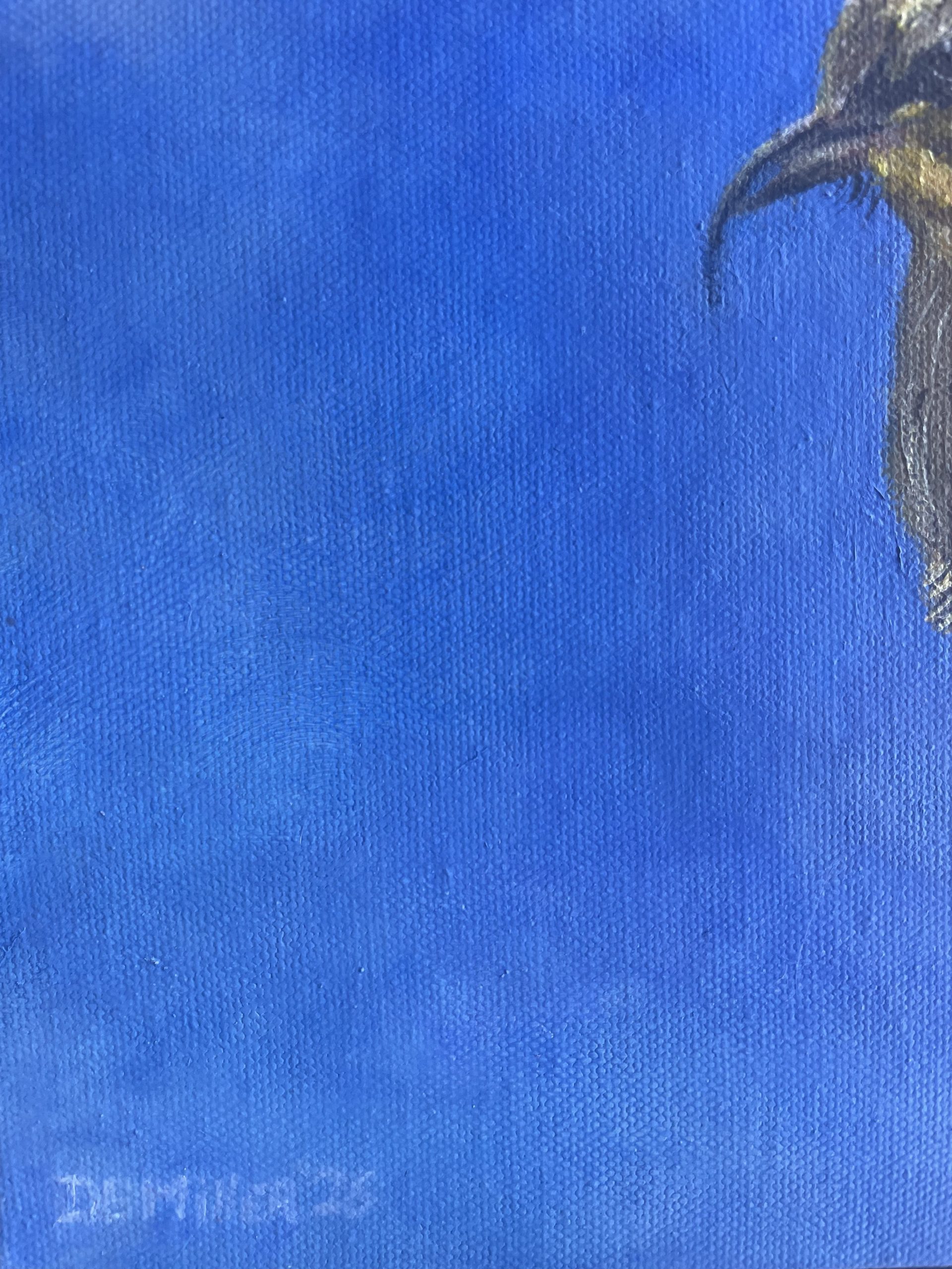 ʻAkiapōlāʻau, Painting by Diana Miller - Image 6