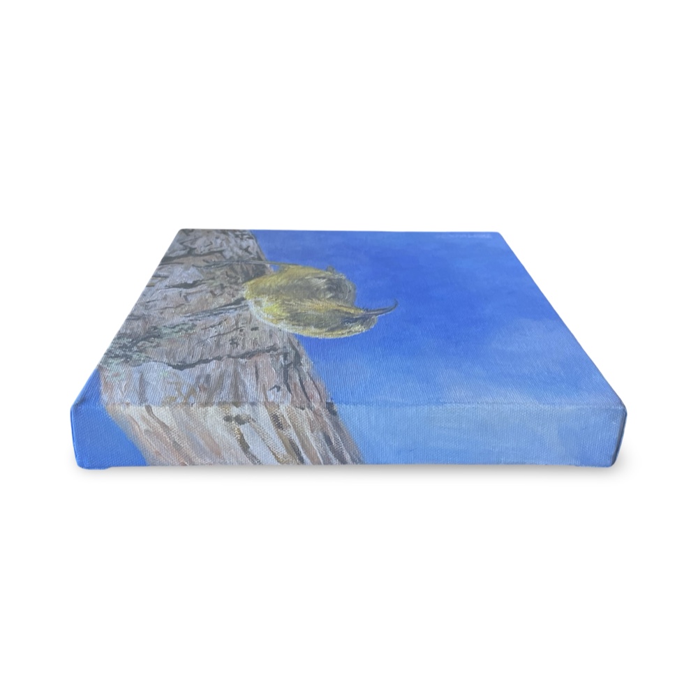 ʻAkiapōlāʻau, Painting by Diana Miller - Image 3