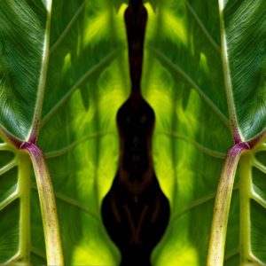 Beauty That Sustains Us Photograph by Heidi Fickinger