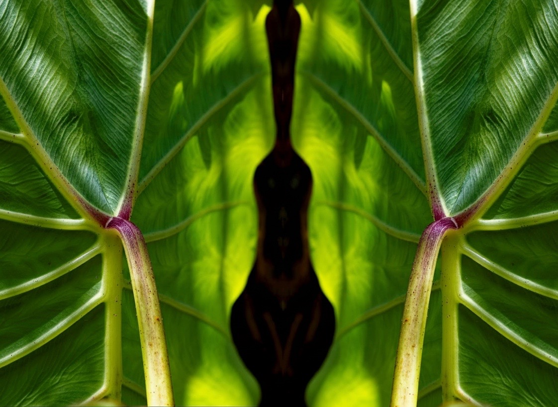 Beauty That Sustains Us Photograph by Heidi Fickinger