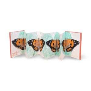 Flutter By, Art Book by Charlene Asato
